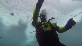 Diving Diving