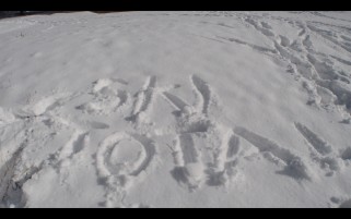 BLOG.SKT.FRDA.W15.22JAN16 BLOG.SKT.FRDA.W15.22JAN16