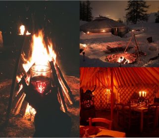 wilderness-collage wilderness-collage