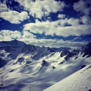 Bluebird Bluebird